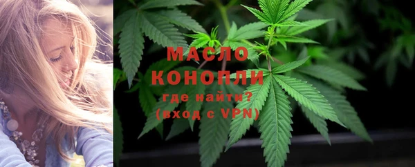 сатива Аркадак
