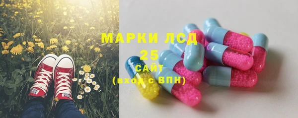 экстази Арсеньев