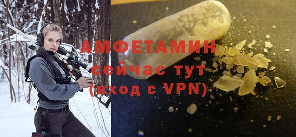 сатива Аркадак