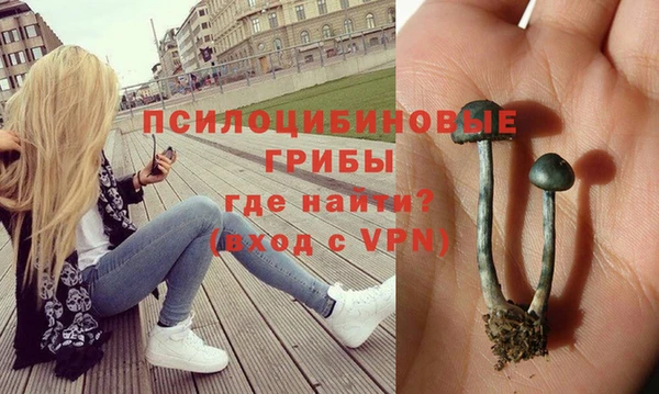 экстази Арсеньев