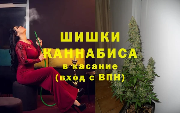 сатива Аркадак
